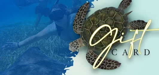 Gift Card - ALL INCLUSIVE SNORKELING (Hol Chan Marine Reserve)